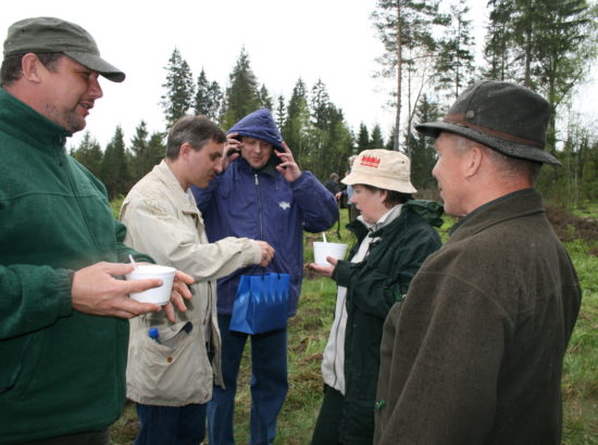 Metsaistutamine 2008, Aegviidu metskonnas